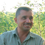 Аватара пользователя